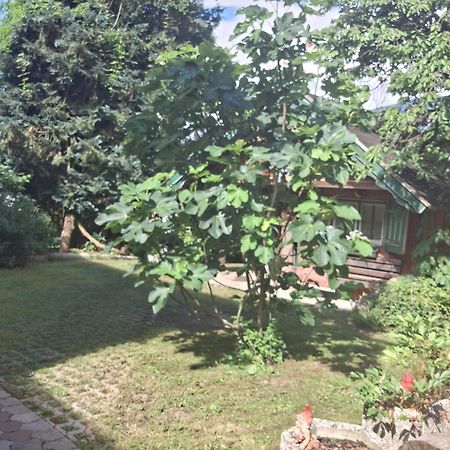 Villa Ganzes Haus Mit Almcharakter Lieserbrücke Exterior foto